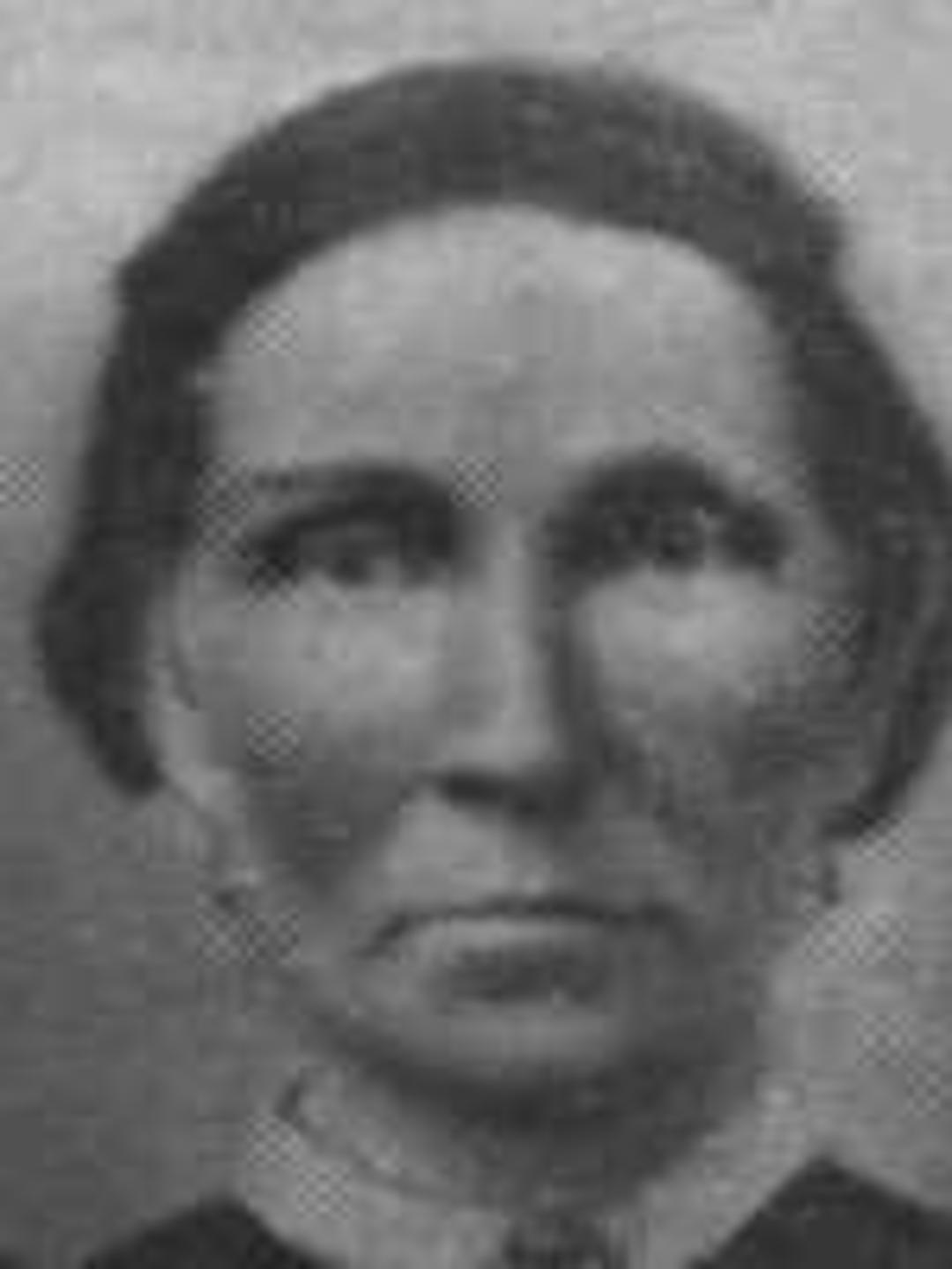 Eliza Avery Whiting (1819 - 1872) Profile